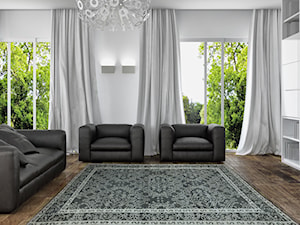 Aranżacje wnętrz z indyjskimi dywanami - Salon, styl nowoczesny - zdjęcie od Carpet Outlet