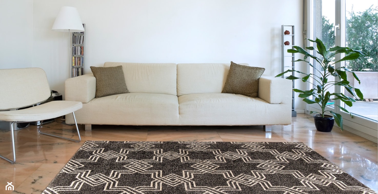 Aranżacje wnętrz z tureckimi dywanami - Salon, styl nowoczesny - zdjęcie od Carpet Outlet - Homebook