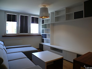 Generalny remont mieszkania od zaplanowania budżetu, projekt aranżacji wnętrza - Salon, styl nowoczesny - zdjęcie od Kompleksowe wykończenie wnętrz domów i mieszkań w Krakowie