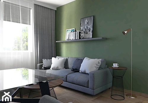 projekt mieszkania - Mały zielony salon, styl nowoczesny - zdjęcie od BRight Studio