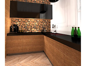 Wnętrza przedwojennej kamienicy- projekt - Kuchnia, styl nowoczesny - zdjęcie od KATARZYNA ROŻEK R-INTERIOR DESIGN projektowanie wnętrz