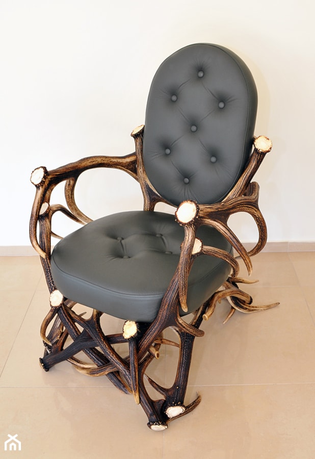 Fotel z poroża - zdjęcie od Antlabo