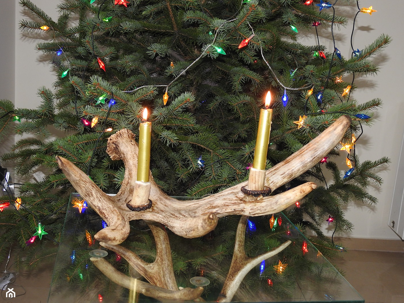 Świecznik z poroża na 2 świeczki - zdjęcie od Antlabo - Homebook