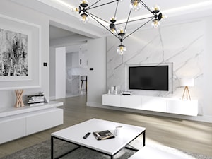 Wnętrze dom - Lublin | 2017 - Średni biały szary salon, styl tradycyjny - zdjęcie od DreamUp Design
