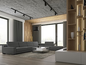 Wnętrze domu - Biała Podlaska | 2017 - Duży biały salon, styl nowoczesny - zdjęcie od DreamUp Design