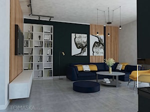 Dom w Chorzowie - Salon, styl nowoczesny - zdjęcie od Tomaska Studio
