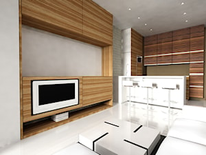 Projekty wnętrz prywatnych | designed by Robert Łyczba - Salon, styl minimalistyczny - zdjęcie od Zakłady Przetwórstwa Artystycznego