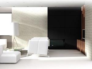 Projekty wnętrz prywatnych | designed by Robert Łyczba - Salon, styl minimalistyczny - zdjęcie od Zakłady Przetwórstwa Artystycznego