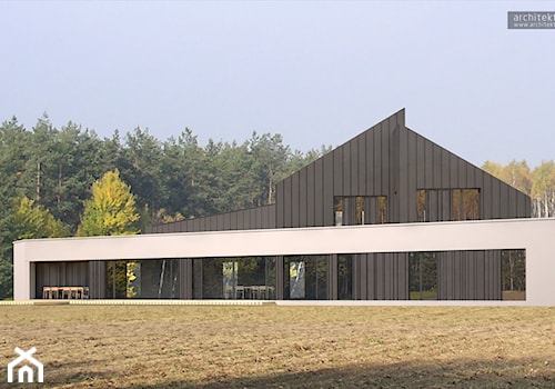Dom trójkątny - Domy, styl nowoczesny - zdjęcie od architekturastudio architekt Bogdan Jarocki