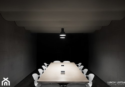 Sala konferencyjna - Biuro, styl nowoczesny - zdjęcie od lubovlisitsa