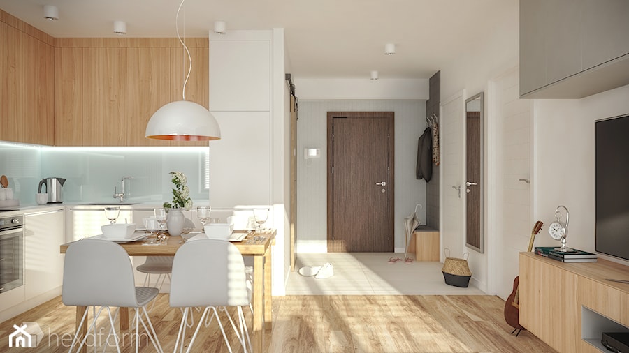 Projekt mieszkania 48m2. - Salon, styl nowoczesny - zdjęcie od hexaform - projektowanie wnętrz