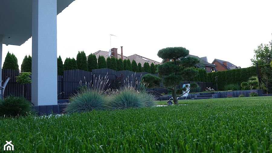 Ogród nowoczesny w mieście - Ogród, styl nowoczesny - zdjęcie od Pro Arti