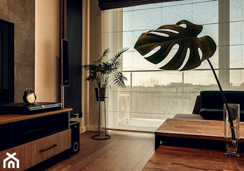 Mieszkanie Loft soft - Średni czarny salon, styl industrialny - zdjęcie od Pro Arti
