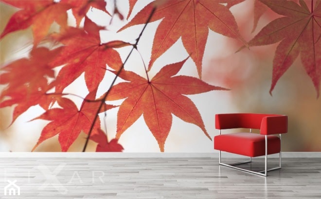 Jesienne liście - zdjęcie od Fixar PL - Homebook