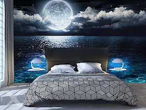 Marzenia księżycowej nocy - zdjęcie od Fixar PL