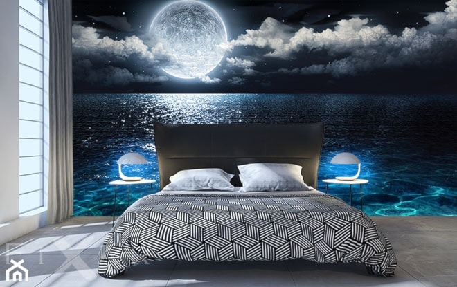 Marzenia księżycowej nocy - zdjęcie od Fixar PL