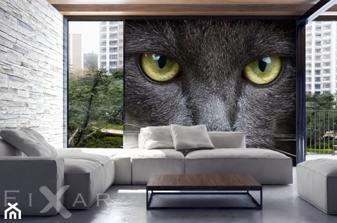 Kocie spojrzenie - zdjęcie od Fixar PL - Homebook
