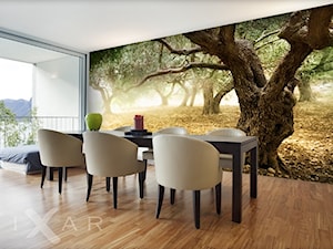 Drzewa oliwne - zdjęcie od Fixar PL