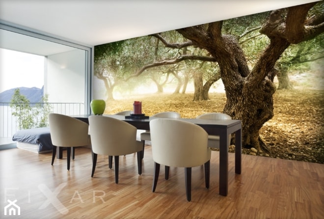 Drzewa oliwne - zdjęcie od Fixar PL