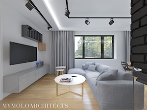 AM HOUSE - Salon, styl nowoczesny - zdjęcie od Mymolo Patrycja Dąbek