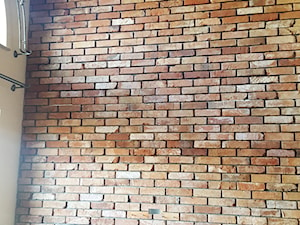 Ściana z oryginalnej XIXw cegły. - zdjęcie od Loft Shop Manufacture