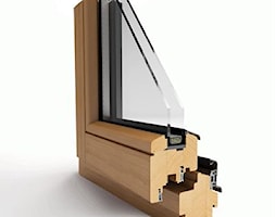 Okna drewniane - Nowoczesne domy, styl nowoczesny - zdjęcie od Witraż Sp. z o. o. Okna i Drzwi - Homebook