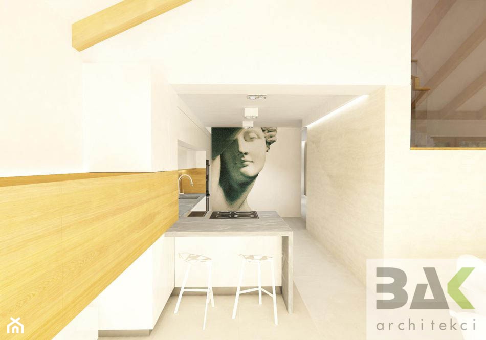 2 dom na Jurze - Kuchnia, styl nowoczesny - zdjęcie od BAK Architekci - Homebook