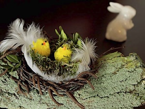 Małe gniazdko na podstawie z kory przyniesionej z wiosennego spaceru... - zdjęcie od Jolanda