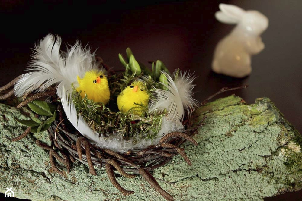 Małe gniazdko na podstawie z kory przyniesionej z wiosennego spaceru... - zdjęcie od Jolanda - Homebook