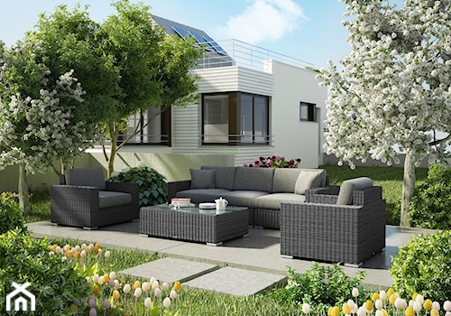 Średni z meblami ogrodowymi z donicami na kwiaty taras z tyłu domu - zdjęcie od Garden Space