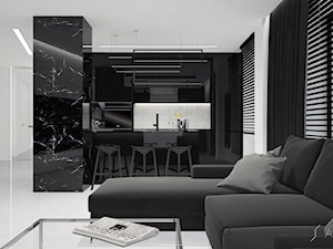 Mieszkanie Black&White - Mały biały salon z kuchnią z jadalnią, styl nowoczesny - zdjęcie od JT.ARCHITEKT