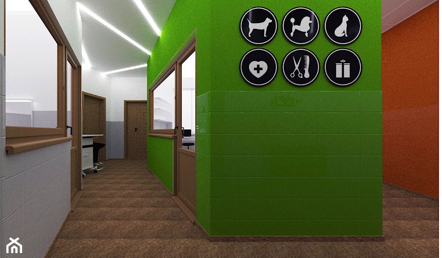 Klinika dla zwierząt - Wnętrza publiczne, styl nowoczesny - zdjęcie od Dubitska design