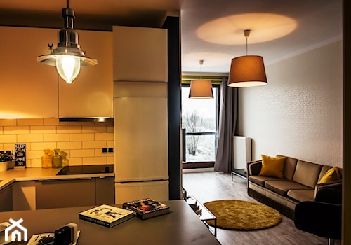 Apartament z charakterem - Mała otwarta z salonem biała z lodówką wolnostojącą kuchnia w kształcie litery u, styl industrialny - zdjęcie od http://martaczerkies.pl/