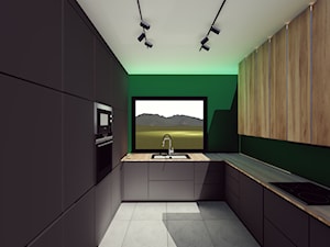 Projekt domku jednorodzinnego - Kuchnia, styl nowoczesny - zdjęcie od ecodesign