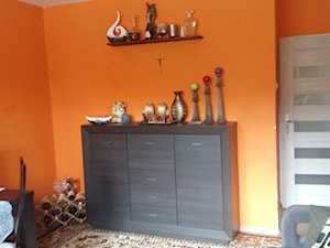 Generalny remont 50m mieszkania w bloku - Salon - zdjęcie od Kamil i Malwina