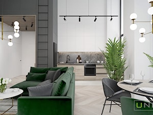 Mieszkanie w Łodzi - Salon, styl nowoczesny - zdjęcie od UNIQUE INTERIOR DESIGN