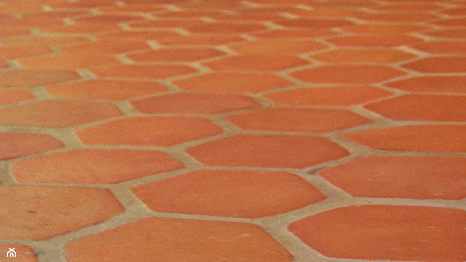 Podłoga z heksagonalnych płytek PLASTER MIODU - zdjęcie od ceglane wnetrze - Homebook