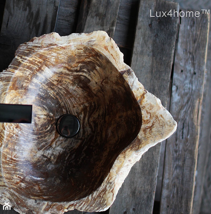 Umywalka ze skamieniałego drewna - skamieniałe drewno - zdjęcie od Lux4home™