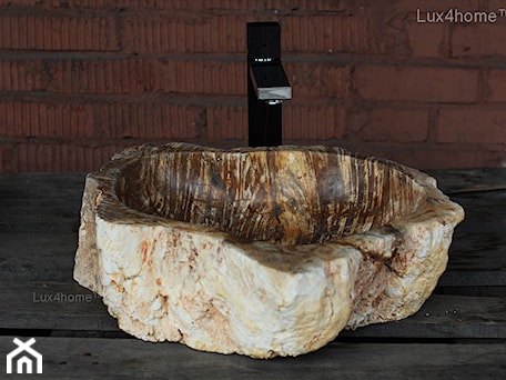 Aranżacje wnętrz - : Umywalka ze skamieniałego drewna - skamieniałe drewno - Lux4home™. Przeglądaj, dodawaj i zapisuj najlepsze zdjęcia, pomysły i inspiracje designerskie. W bazie mamy już prawie milion fotografii!