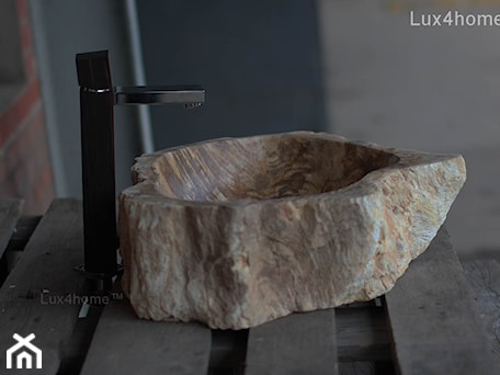 Aranżacje wnętrz - Łazienka: Umywalki ze skamieniałego drewna - skamieniałe drewno - Lux4home™. Przeglądaj, dodawaj i zapisuj najlepsze zdjęcia, pomysły i inspiracje designerskie. W bazie mamy już prawie milion fotografii!