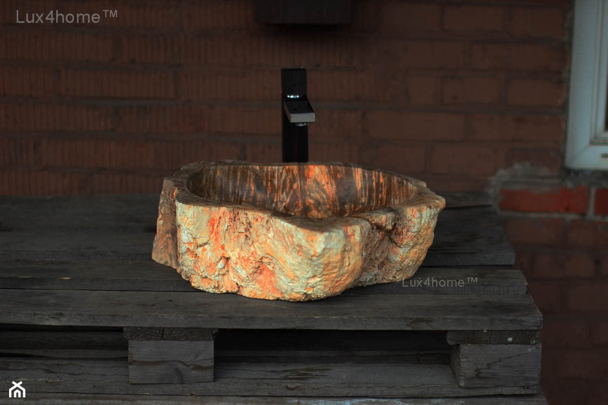 Umywalki ze skamieniałego drewna - skamieniałe drewno - zdjęcie od Lux4home™ - Homebook