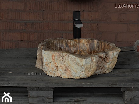 Aranżacje wnętrz - : Umywalki ze skamieniałego drewna - skamieniałe drewno - Lux4home™. Przeglądaj, dodawaj i zapisuj najlepsze zdjęcia, pomysły i inspiracje designerskie. W bazie mamy już prawie milion fotografii!