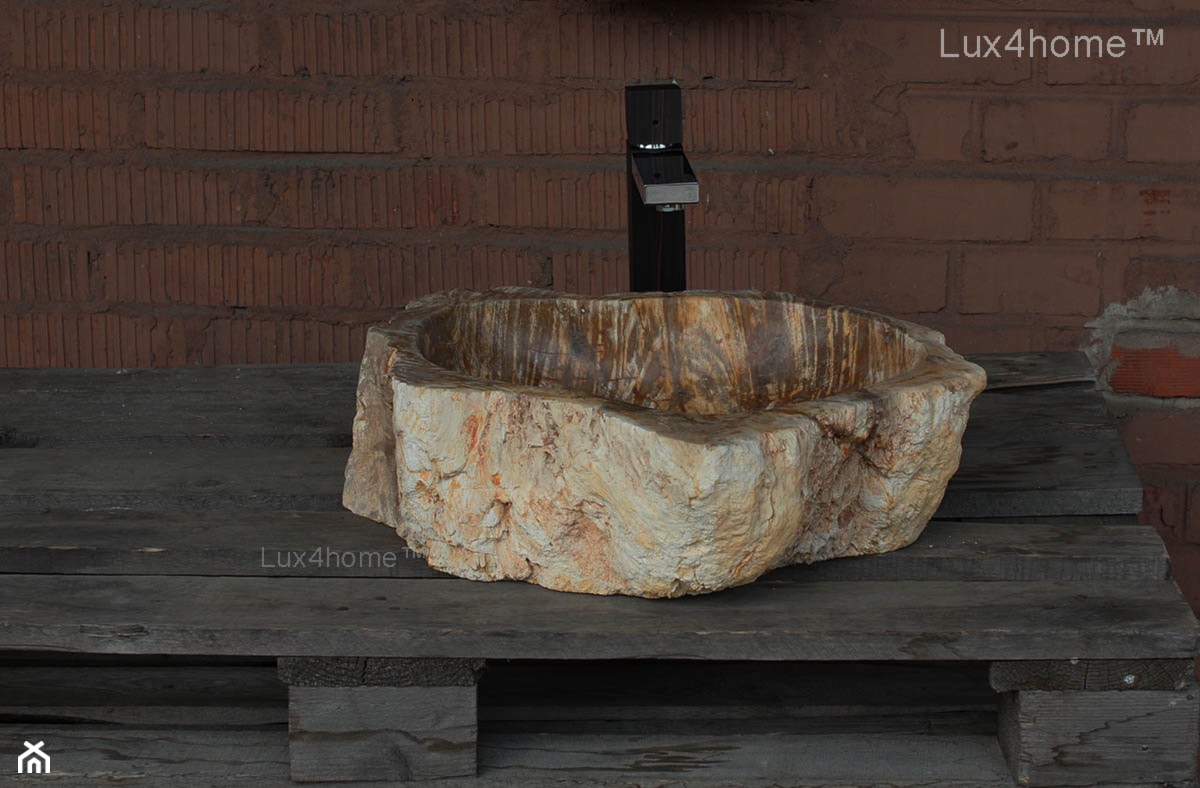 Umywalki ze skamieniałego drewna - skamieniałe drewno - zdjęcie od Lux4home™ - Homebook