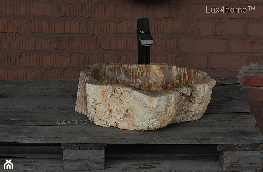 Umywalki ze skamieniałego drewna - skamieniałe drewno - zdjęcie od Lux4home™