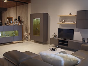KOLEKCJA PARIS - Średni szary salon z jadalnią, styl minimalistyczny - zdjęcie od TC MEBLE