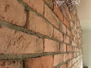 stara cegła Łososiowa - zdjęcie od BAUHERR Stare Cegły