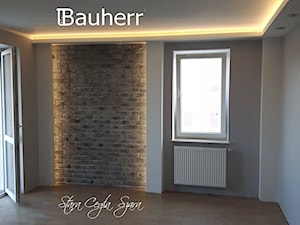 Stare cegły szare Bauherr - zdjęcie od BAUHERR Stare Cegły