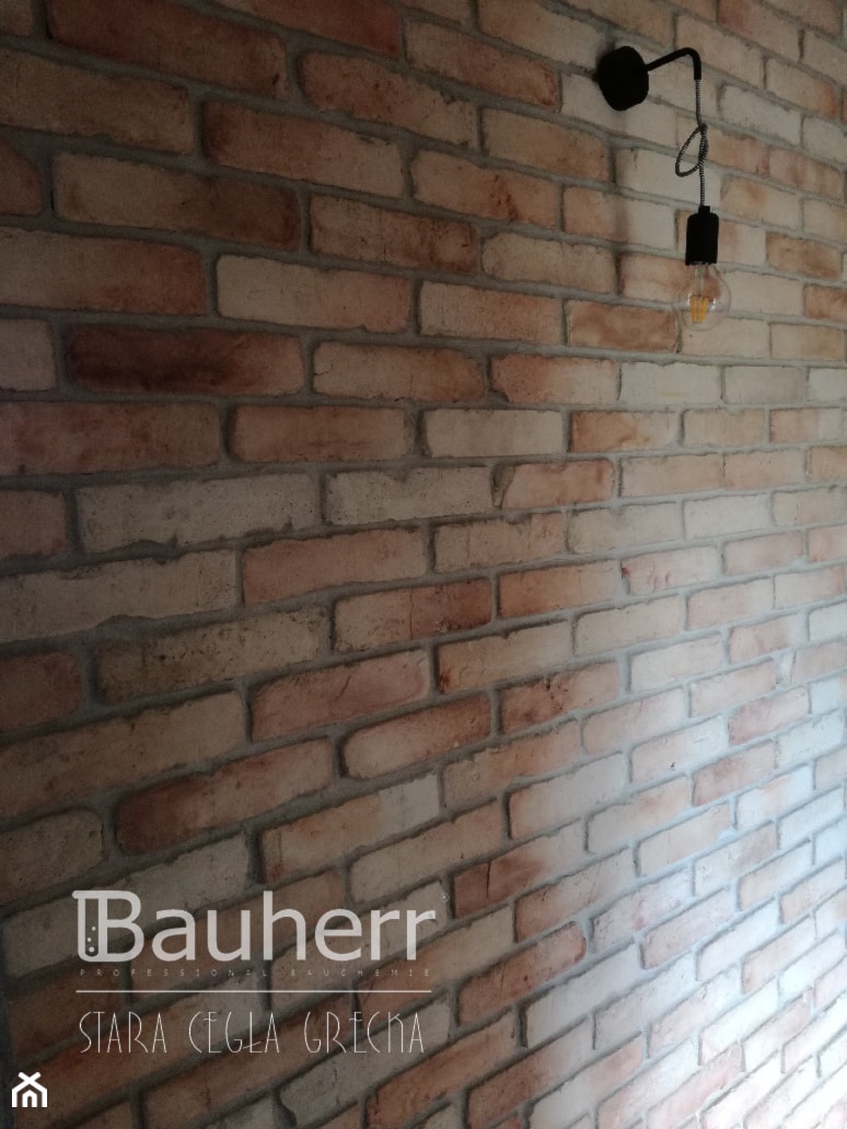 www.Bauherr.com.pl - zdjęcie od BAUHERR Stare Cegły