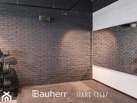 Aranżacje wnętrz - Wnętrza publiczne: Stare cegły Bauherr - BAUHERR Stare Cegły. Przeglądaj, dodawaj i zapisuj najlepsze zdjęcia, pomysły i inspiracje designerskie. W bazie mamy już prawie milion fotografii!