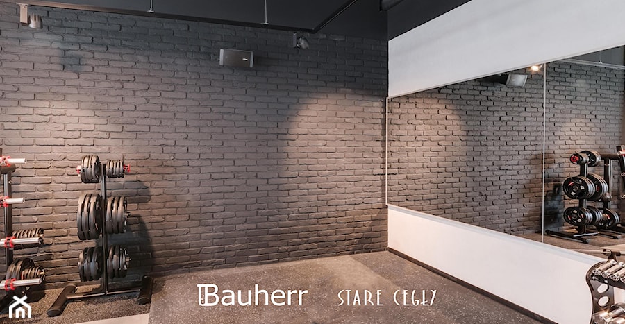 Stare cegły Bauherr - zdjęcie od BAUHERR Stare Cegły
